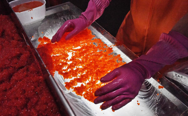 Росрыболовство спрогнозировало резкий рост производства красной икры
Росрыболовство спрогнозировало резкий рост производства красной икры