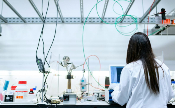 
                    Качественный рост: как государство помогает развиваться малому бизнесу
                