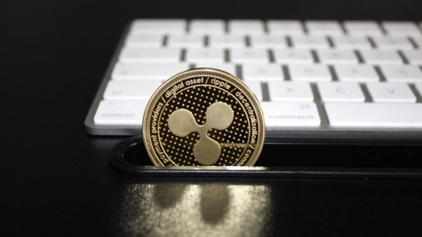 
                    CEO Ripple: банки не используют XRP из-за недостаточной конфиденциальности                