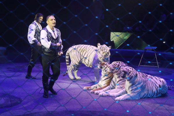 Дрессировщик Запашный бросил любовницу из-за детей: &laquo;Меня это раздражало&raquo;