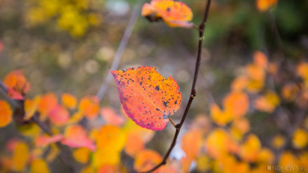 В Москве ожидается скорое потепление