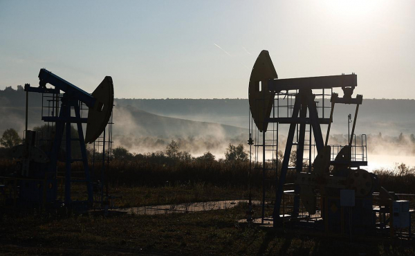 
                    Reuters сообщил, что Индия вполовину сократила импорт российской нефти
                