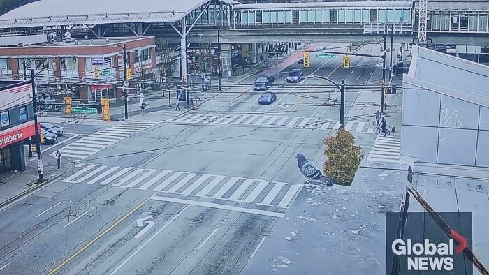 Без фотошопа: в Сети показали 15 забавных кадров, которые кажутся отредактированными