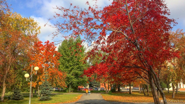 29 октября ожидаются следующие события &ndash; Челябинск