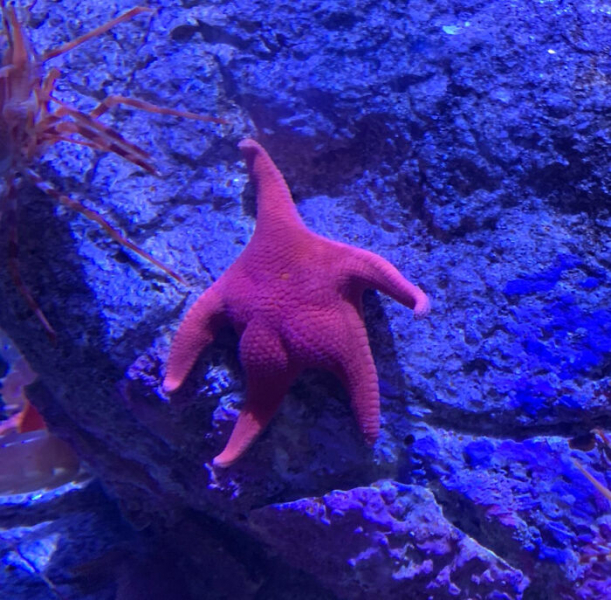 «Что у вас тут происходит?»: 18 забавных фото, вызывающих недоумение и улыбку