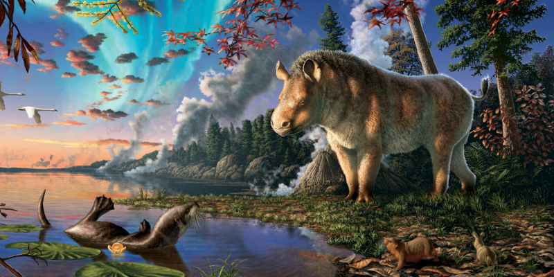 В канадской Арктике нашли останки &laquo;морозного&raquo; носорога возрастом 23 миллиона лет &mdash; у него не было&nbsp;рога