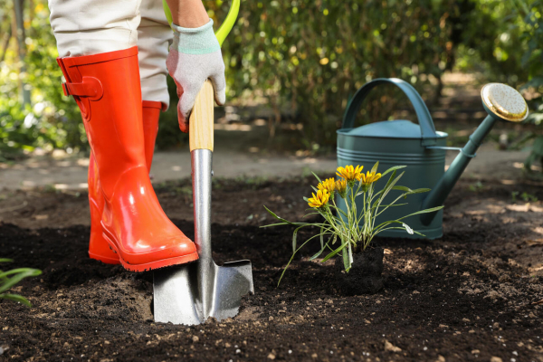 Копать или не копать? Главные мифы подготовки сада к зиме