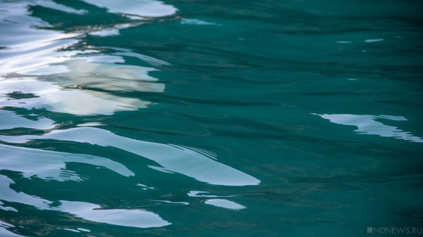 В московском пруду нашли рюкзак с останками ребенка