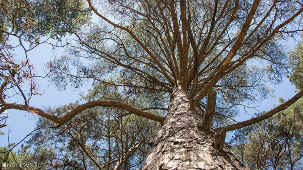 25 ноября ожидаются следующие события &ndash; Челябинск