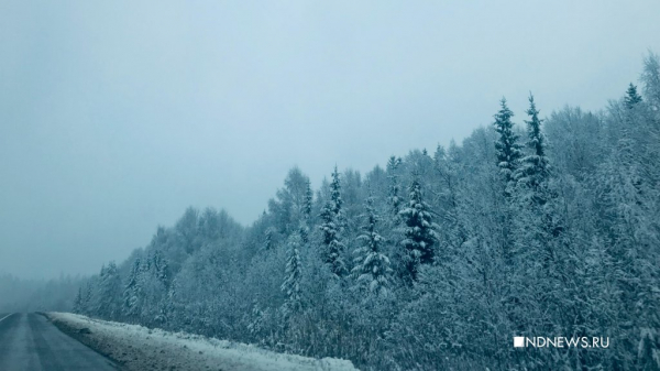 Из-за снега трассу Пермь-Екатеринбург закрыли &ndash; фуры не могут проехать