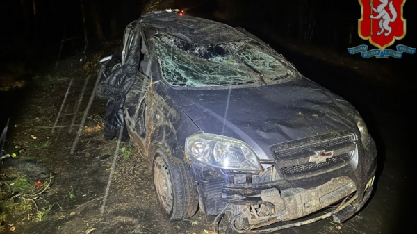 Пьяная компания молодежи попала в ДТП: одна девушка погибла, четыре человека пострадали (ФОТО)