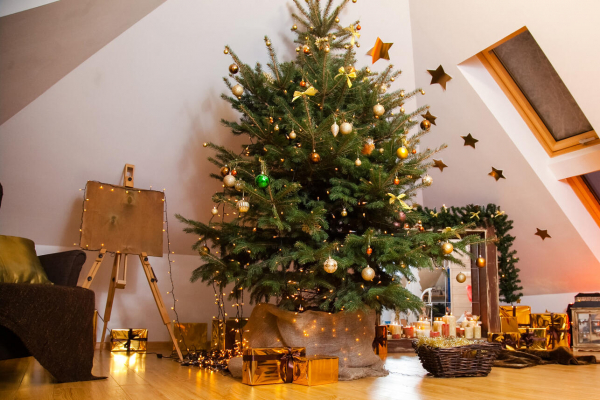 Когда ставить ёлку на Новый год 2026 по фэн-шуй — эти даты привлекут удачу в жизнь Когда ставить ёлку на Новый год 2026 по фэн-шуй — эти даты привлекут удачу в жизнь