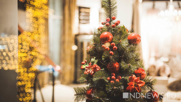 Россияне стали покупать &laquo;половинки&raquo; елок в целях экономии