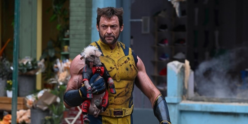 &laquo;Индиана Джонс&raquo; и не только: Хью Джекман назвал 4 любимых фильма