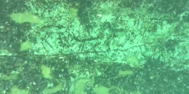 Под водами плотины в Турции обнаружили 12000-летние наскальные рисунки