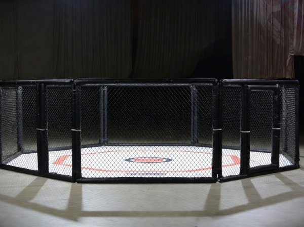 Российский боец потерпел поражение в дебюте в UFC