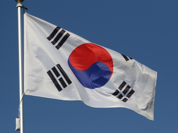 Российской туристке вынесли приговор в Южной Корее за поджог тополиного пуха