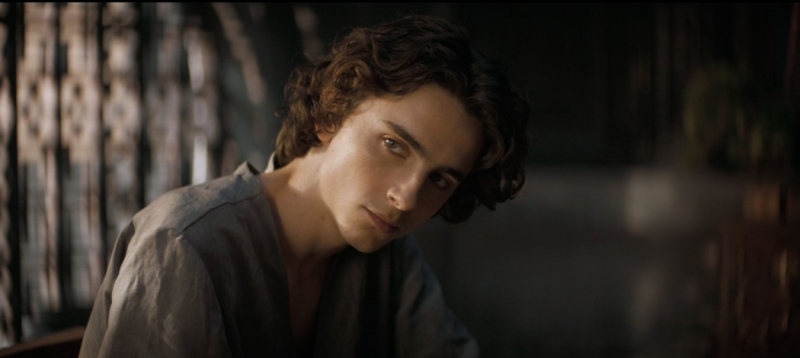 Тимоти Шаламе рассказал, кого считает одним из лучших актёров всех времён