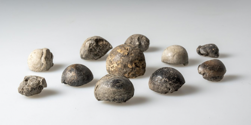 В Швеции нашли уникальные сокровища викингов &mdash; мечи, бусы и многое другое